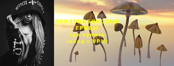 метадон Нея