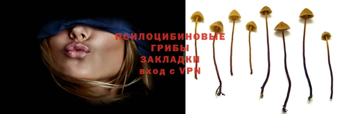 метадон Нефтекумск