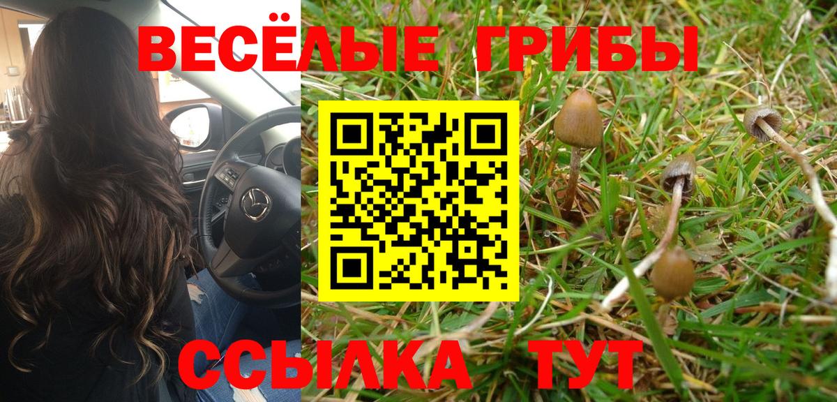 Псилоцибиновые грибы ЛСД Серов