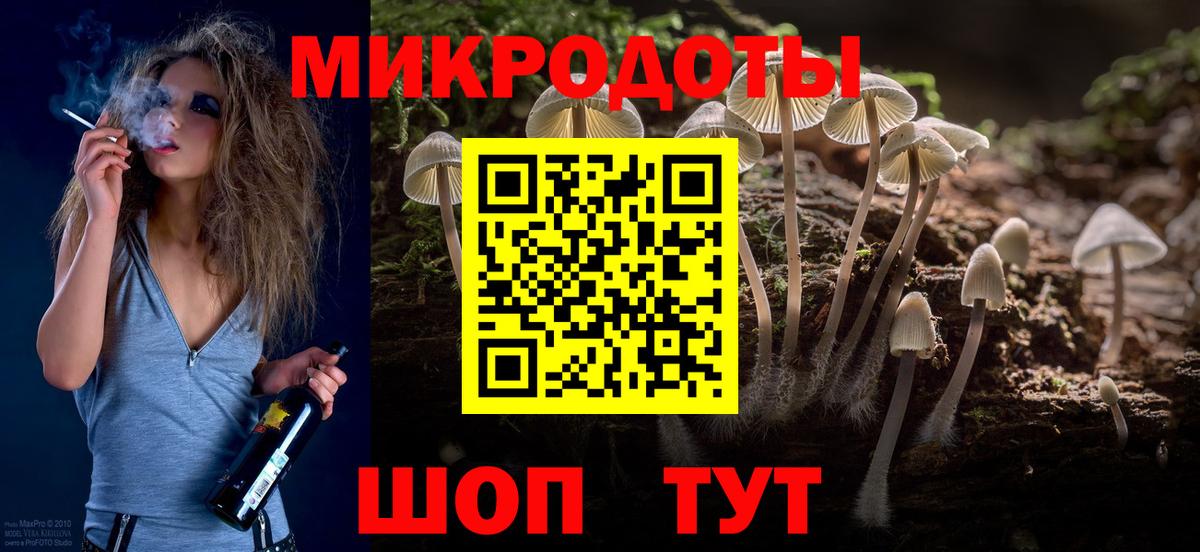 Псилоцибиновые грибы Cubensis  магазин    Галлюциногенные грибы Psilocybe  Серов 